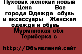 Пуховик женский новый › Цена ­ 2 600 - Все города Одежда, обувь и аксессуары » Женская одежда и обувь   . Мурманская обл.,Териберка с.